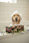 🌿 Garden Meadow Canine™ Botanical Dog Shampoo Bar